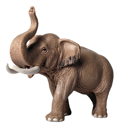 Modelo Decoración Ciencia Proyecto Animal Para Navidad