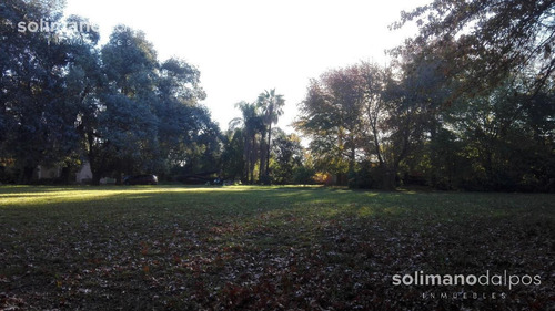 Imagen 9 de 18 de Excelente Terreno De 7500 M2 - Villa Rosa