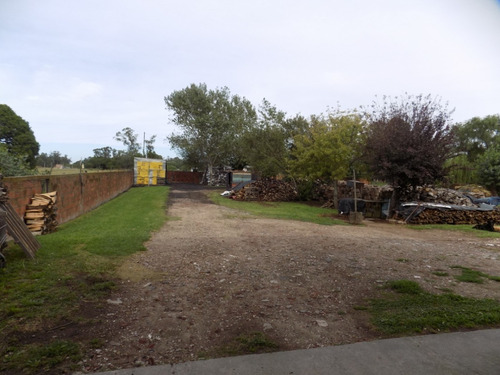 Chalet De 5 Ambientes, Galpon De 12x20 Mts, Bascula P/70 Toneladas Y Oficina