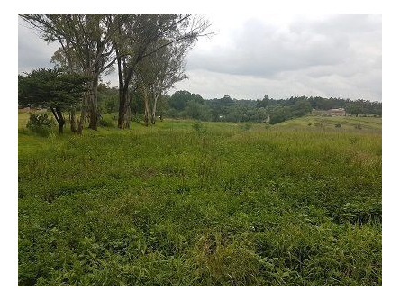 Imagen 1 de 3 de Terreno Comercial & Habitacional En Venta