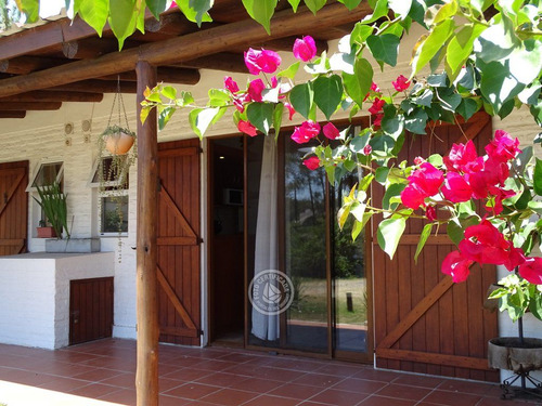 Cabaña Martesi B En Punta Colorada