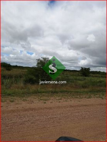 Venta De Campo En Treita Y Tres, 70 Hectareas Con Casa. - Ref: 168050