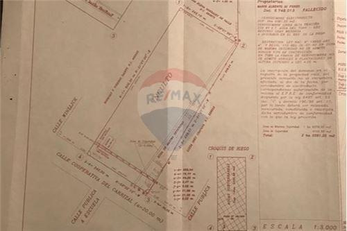 Imagen 9 de 11 de Venta Finca 14 Htas- Carrizal - Permuta X Lote