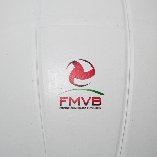 Balón Voleibol Molten V58r Hule Natural