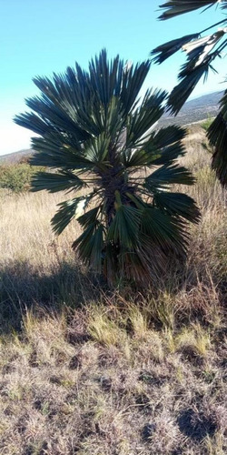 Imagen 28 de 30 de Casa Con Campo 7 Hectareas San Esteban Cordoba