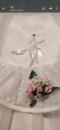 Vestido De Novia Para Mascotas, Se Realizan Por Pedido 