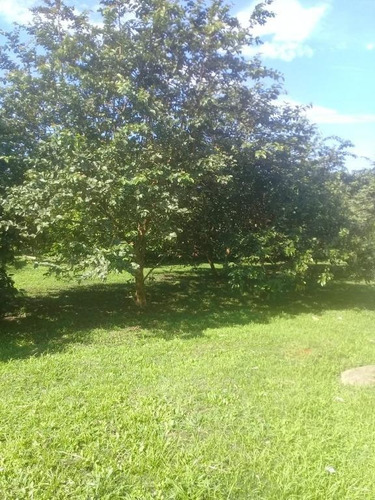 Chácara De 5 Alqueires Localizado No Anhaia - Ch0116