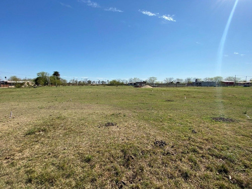 Vendo Terreno En Luis Palacios. Lote De 550 M2. Entrega Inmediata