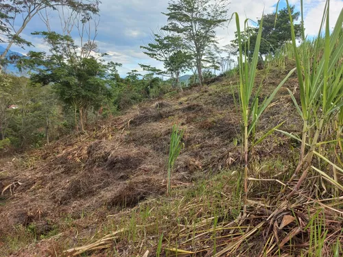 Venta De Lote En Villeta, Vereda Cune