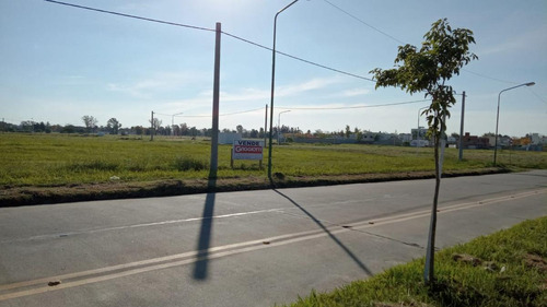 Imagen 2 de 2 de Terreno - Barrio Ilolay