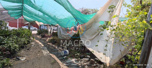 Terreno En Venta En Col. Otilio Montaño Cerca Del Centro De Cuautla Con Conexión A Todos Los Servicios