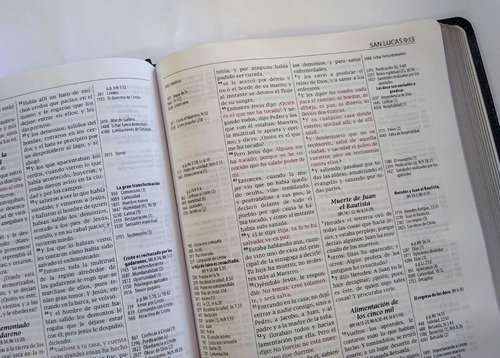 Imagen 7 de 7 de Biblia De Estudio Y Referencia Thompson Rvr60 Piel Especial