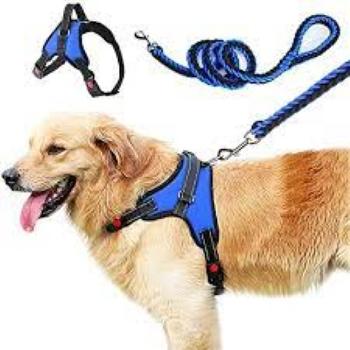Pretal Pechera Acolchado Ajustable Mascota T M Apolo® Azul M Pretal Acolchado T M