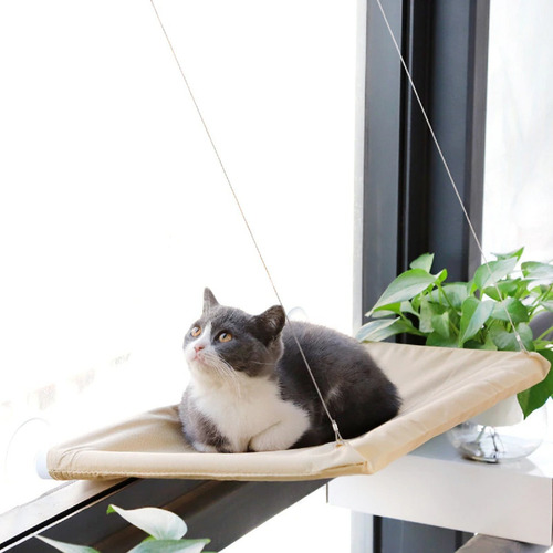 Imagen 6 de 10 de X2 Hamaca Para Gatos Cama De Gato Cama Colgante Ventana