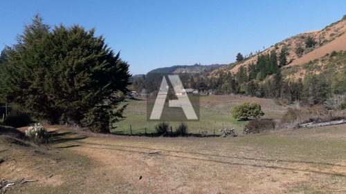 Imagen 14 de 14 de Paredones, Vendo Predio Agrícola Forestal, 23,5 Hectáreas...
