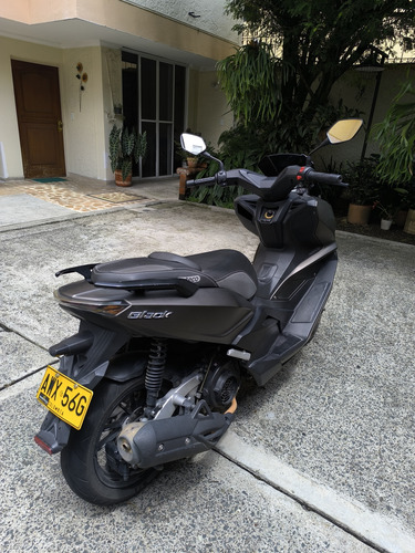 Victory Black 2023