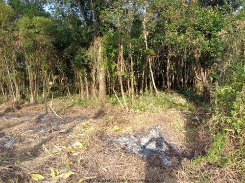 Imagem 9 de 11 de Chácaras Na Praia À Venda Em Itanhaem/sp - Compre O Seu Chácaras Na Praia Aqui! - 1248499