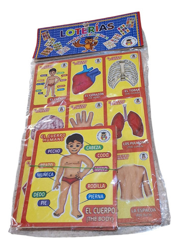Juego Mesa Lotería Educativa Partes Cuerpo Didáctica Escolar