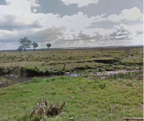Venta Campo Chacra Rocha Cabo Polonio 20 Hectáreas Ruta 10