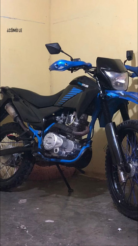 Dm 250