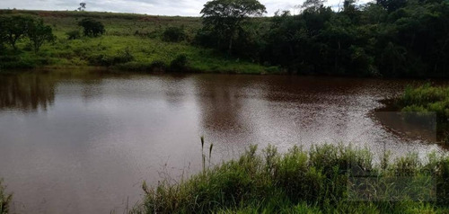 Fazenda À Venda, 65 Alqueires Por R$ 3.000.000 - Sítio Rural - São Sebastião Do Paraíso/mg - Fa0012
