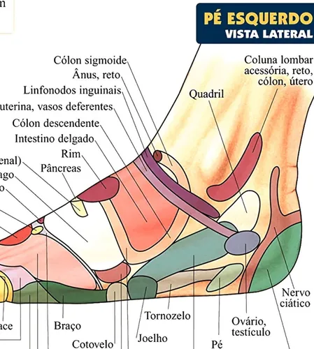 Mapa Grande Hd 65x100cm Reflexologia Pontos De Press o P s