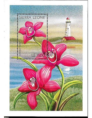 #8220 Sierra Leona 1996 Flora Flores Orquideas Hojabl301 Mnh