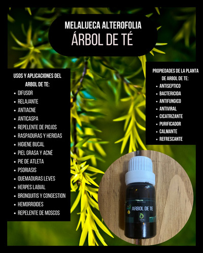 Aceite Esencial Arbol De Te