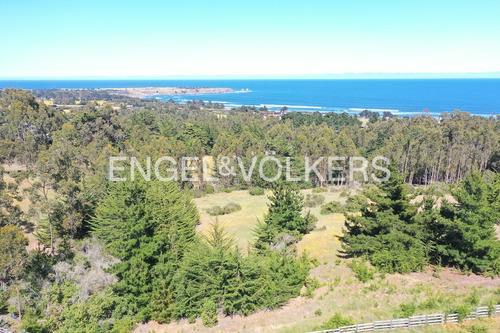 Excelente Terreno En Punta De Lobos