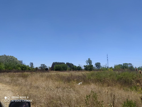 Imagen 5 de 11 de Venta Campo Moreno