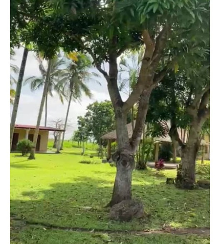 Imagen 4 de 17 de Se Vende Finca En Caicarita Estado Monagas Ve02-1095mced-mtru