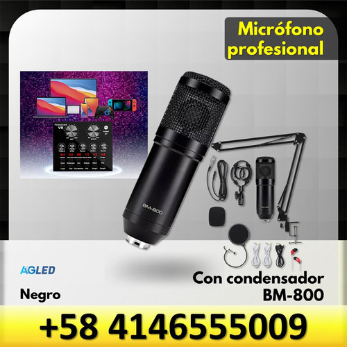 Microfono Profesional Condensado Bm-800 Interfaz Sonido V8