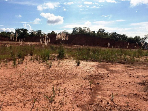 Terreno Para Venda Em Colombo, Roça Grande - Te-079_2-1013770