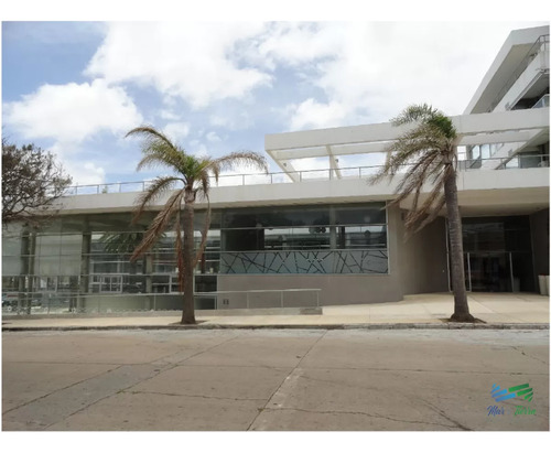 Apartamento Nuevo En Alquiler, A Metros Del Puerto.