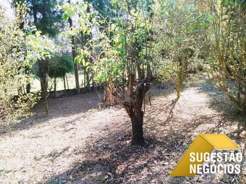 Ibiúna Chácara Com Riacho Na Beira Da Estrada - 3164