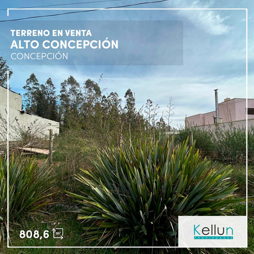Extenso Terreno En Venta, Ubicado En Alto Concepción