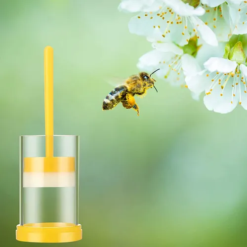 Queen Bee Marking Kit, 2 Queen Marking Cage Tube With 3 Bee