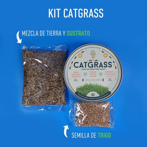 Imagen 4 de 4 de Cat Grass Pasto De Trigo Para Gatos