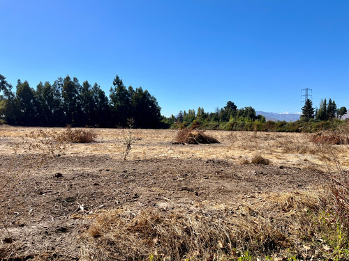 Parcela De 2,2 Hectáreas Con Casa De 227m2 En Los Guindos