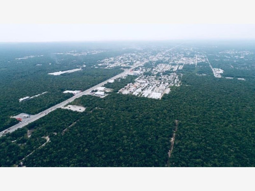 Imagen 2 de 12 de Terreno En Venta Bak Tulum, Tulum