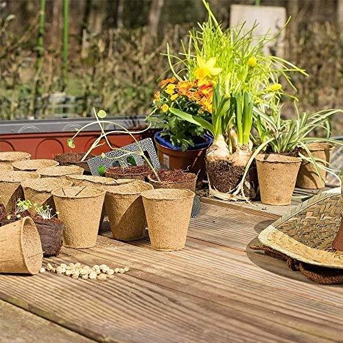 Imagen 5 de 9 de M-aimee Plant Starter Turba Macetas, Macetas Biodegradables