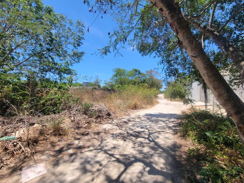 Vendo Terreno A Dos Cuadras Ave. La Luna