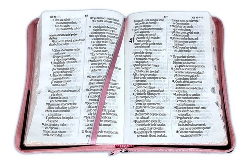 Imagen 3 de 3 de Biblia Rvr60 Letra Gigante Tamaño Manual C/índice Rosa/café