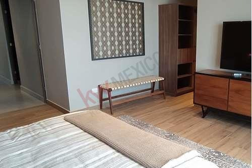 Imagen 24 de 25 de Tu Casa En Un Oasis En Medio De La Ciudad