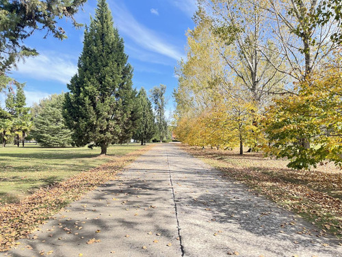 Venta Terrenos En La Federala Club De Campo Lobos