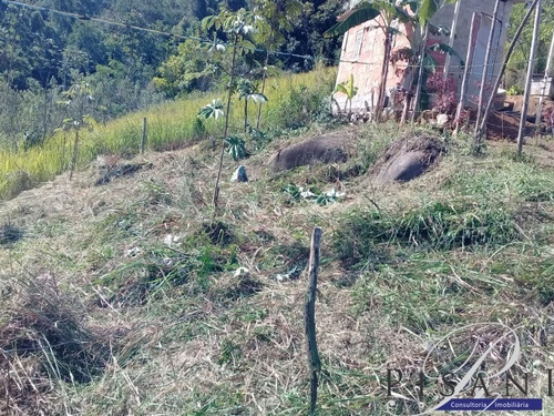 Conceição De Jacarei, Terreno Com 100m² - Te00063 - 34952489