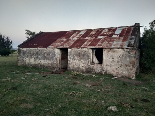 Campo Ganadero 55 Has En Lavalleja -higueritas Con Arroyo