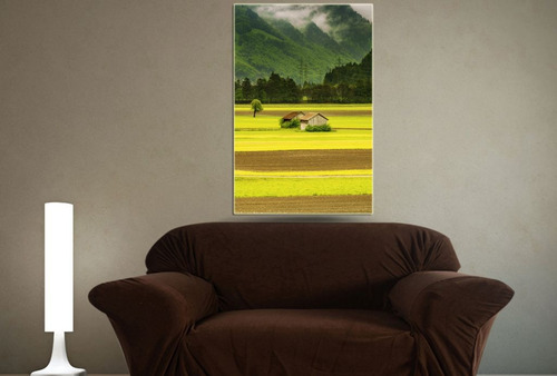 Vinilo Decorativo 60x90cm Paisajes Mundo Natural Fauna M4