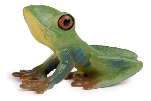 Modelo De Crescimento Do Sapo Do Ciclo Do Inseto Para