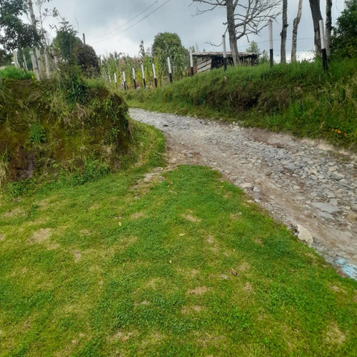 Finca En Vender En La Unión